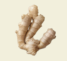 Ginger