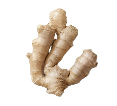 Ginger