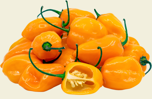 Orange Habanero