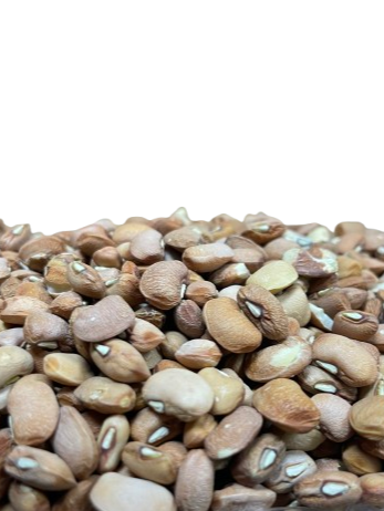 Honey Beans Per Pound